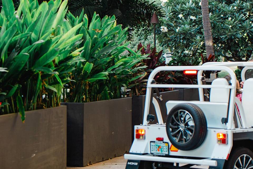 Wayfinder Waikiki x Moke