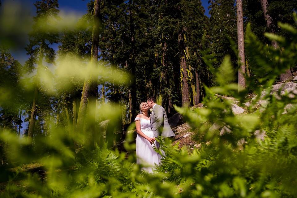 Summer Elopement