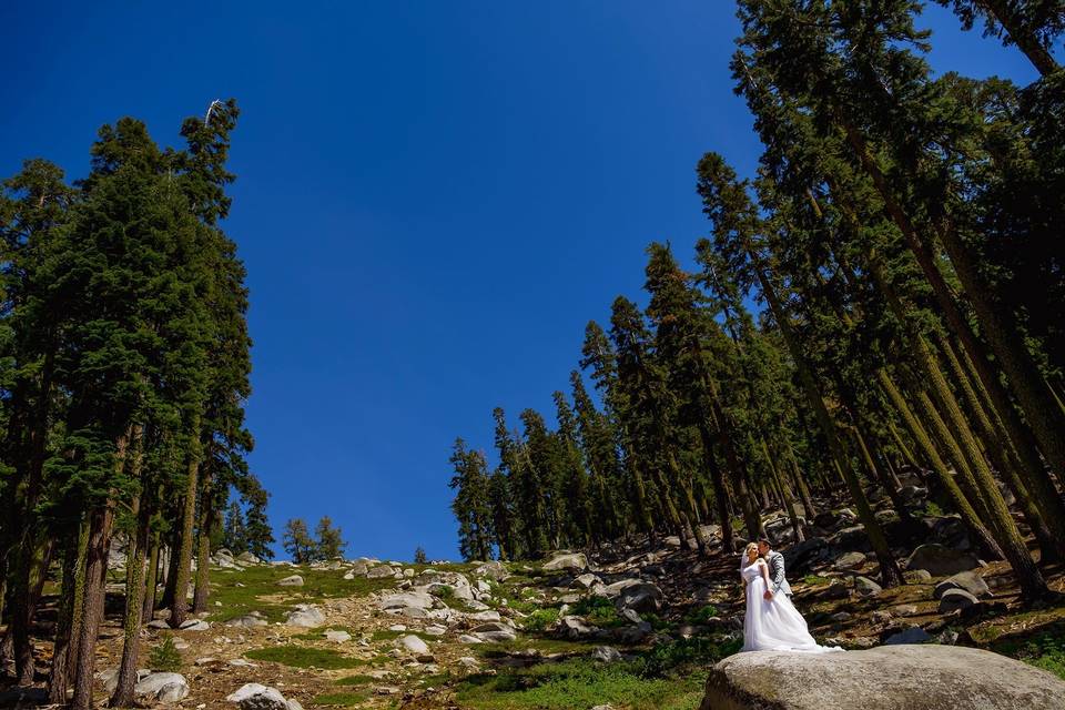 Summer Elopement