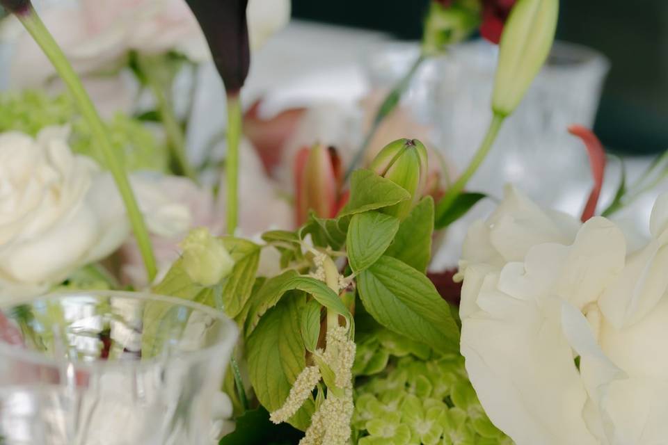 Wedding Lake Maggiore