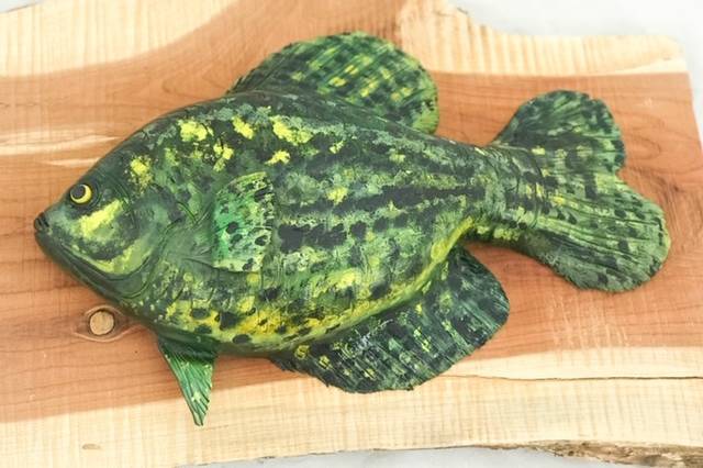 Fish groom's cake