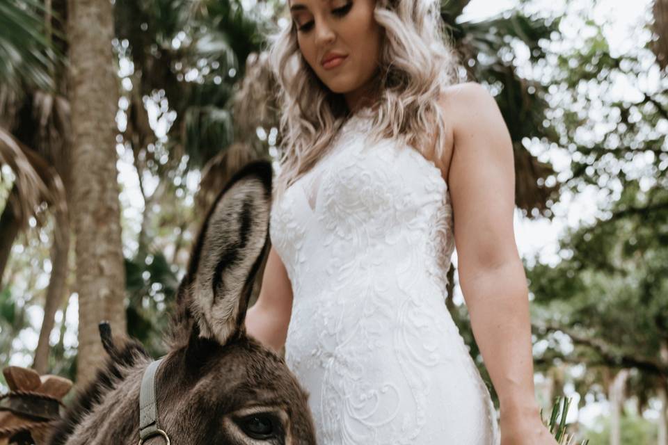 Gorgeous Halter Gown