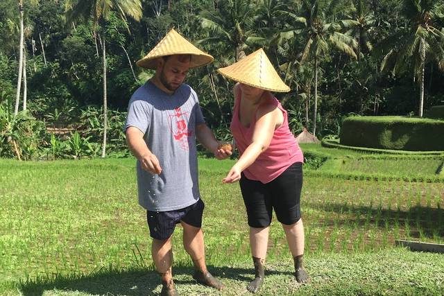 Honeymoon Planting Rice