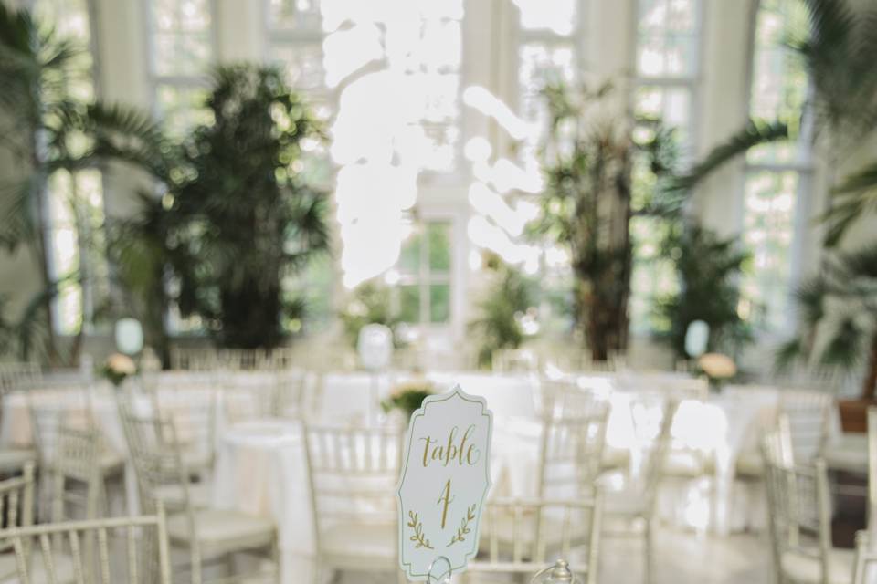 Elegant table set up