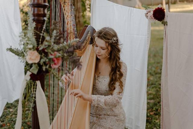 Lynden Harp