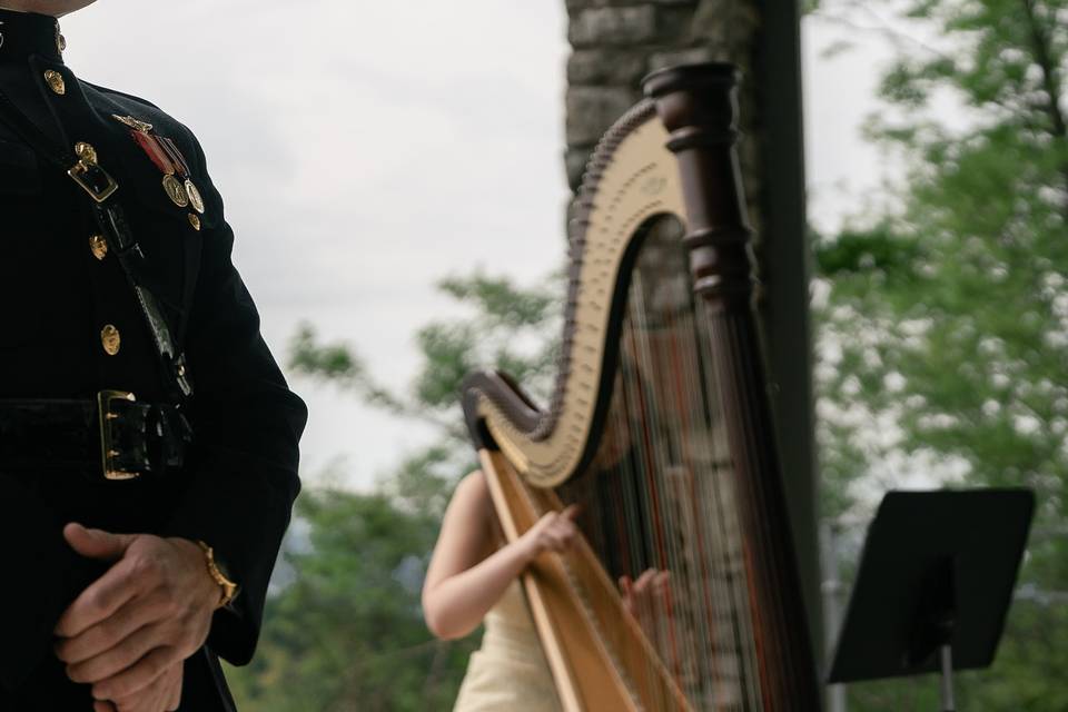 Lynden Harp