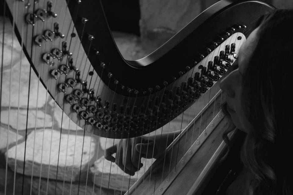 Lynden Harp