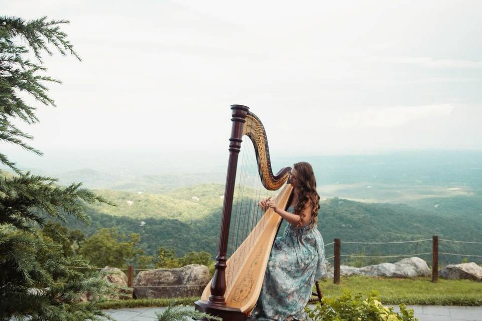 Lynden Harp