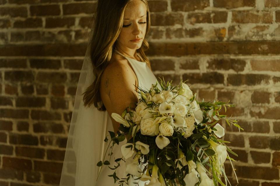 Beautiful Flowers