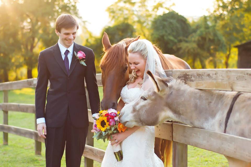 Asheville Wedding Photography