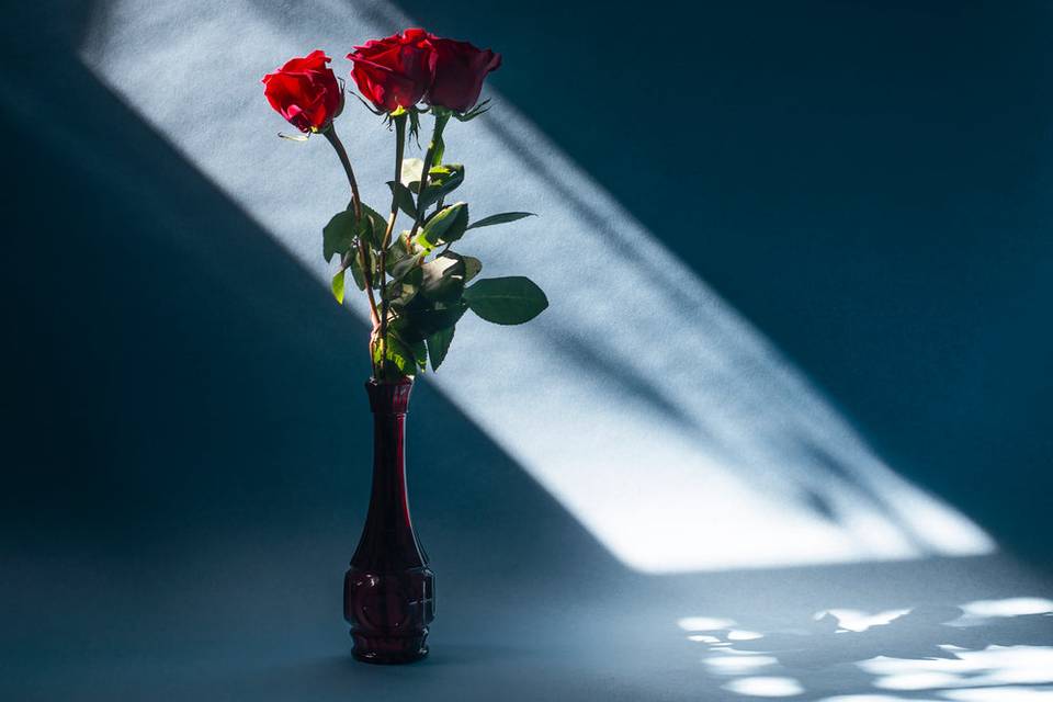 Wedding Roses