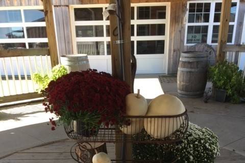 Gazebo in the fall