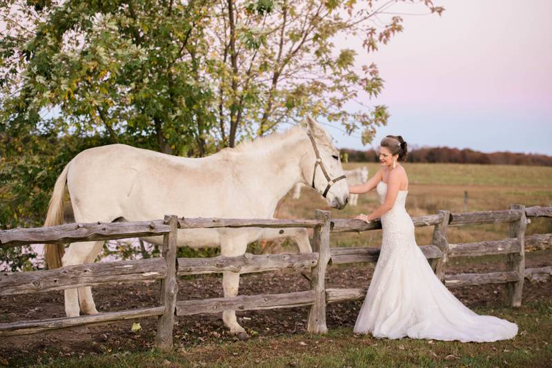 Bride lovin' on the mule