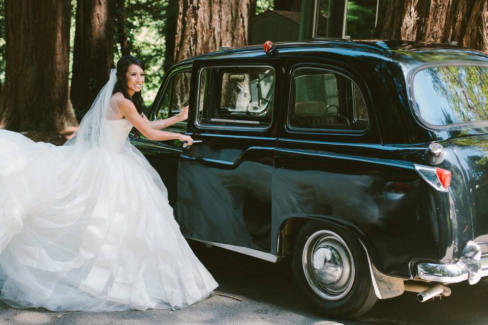 Bridal portrait