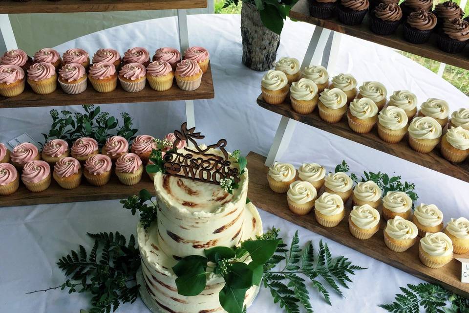 Birch cake and cupcakes