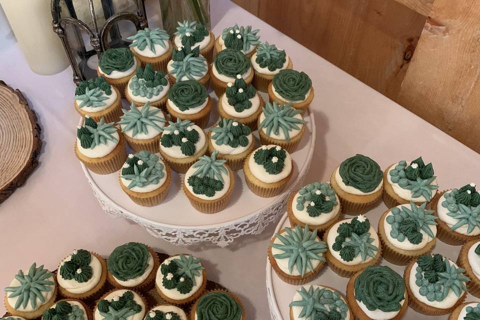 Succulent cupcakes