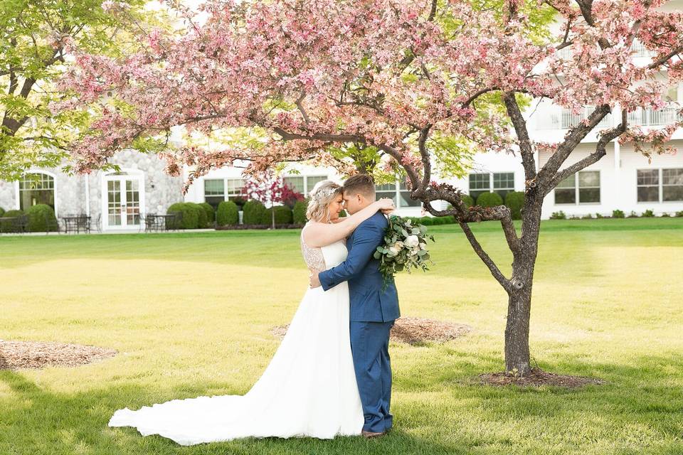 Outdoor Wedding Background