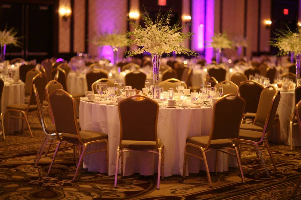 Wedding Reception - Uplighting