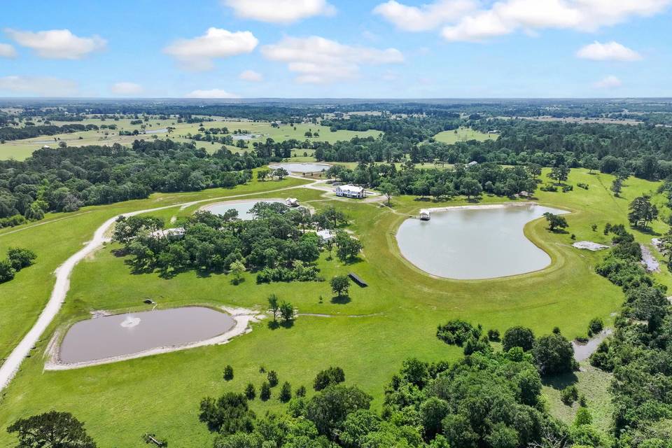 Forest Aerial
