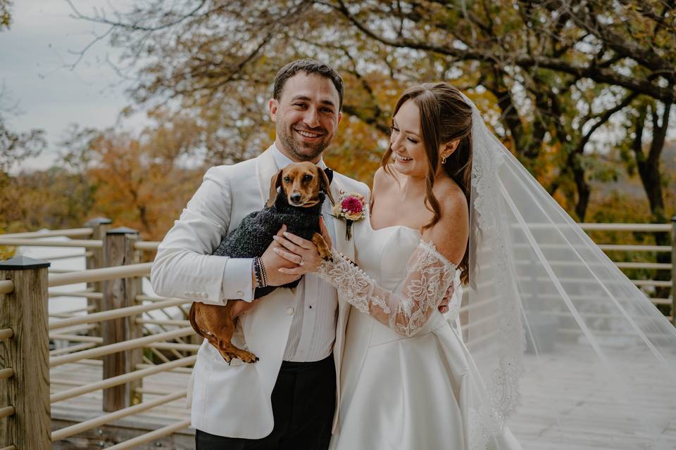 We love our furry friends.