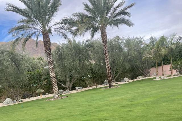 Rear yard view