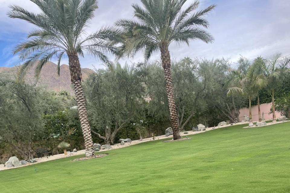 Rear yard view