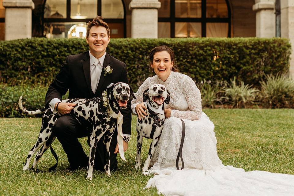 Dog-friendly wedding venue