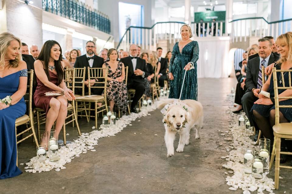 Dog-friendly wedding venue