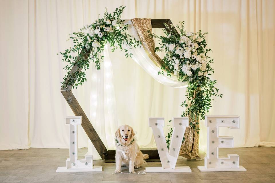 Dog-friendly wedding venue