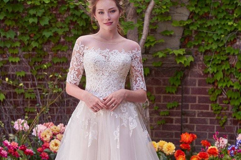 Amore Bridal Couture