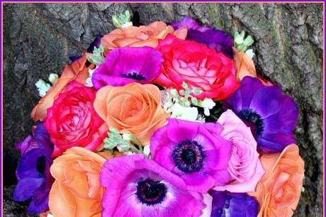 Vibrantly hued, round, fresh floral bridal bouquet featuring roses and anemones, designed by Something Floral.