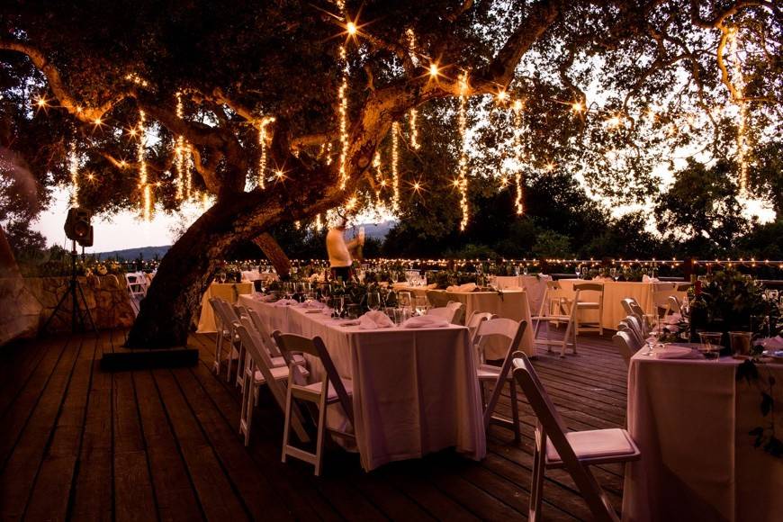 AMS Events wedding lights