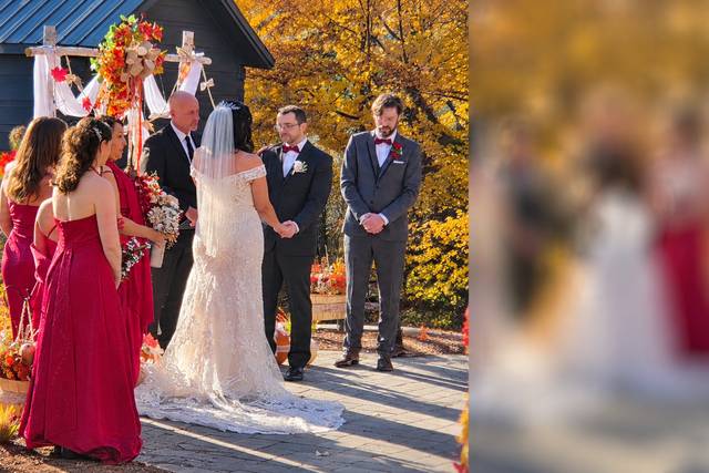 Vows