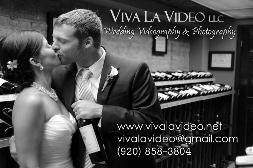 Viva La Video llc