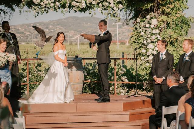Marty the falcon delivers ring