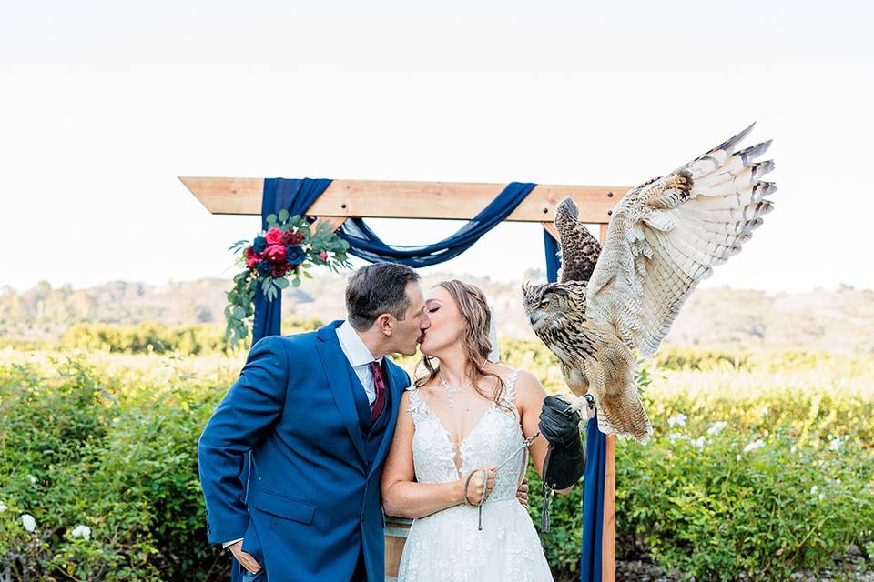 Bride holds owl