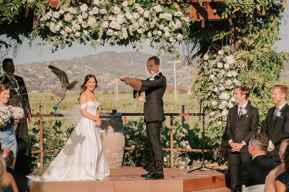 Marty the falcon delivers ring
