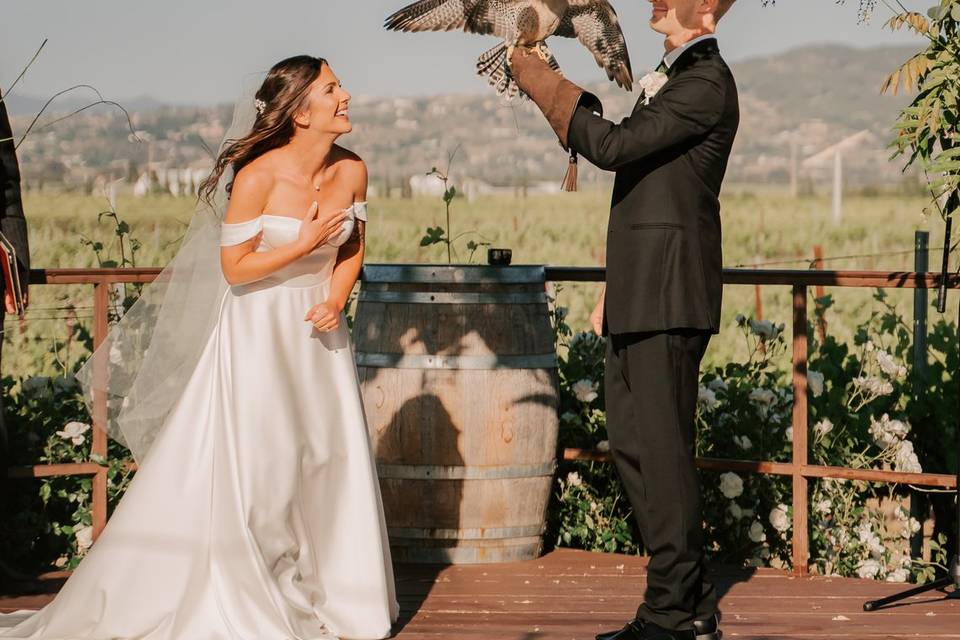 Groom takes rings from falcon