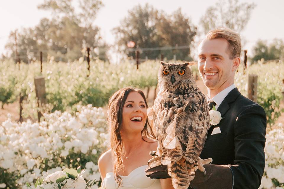 Groom hold owl