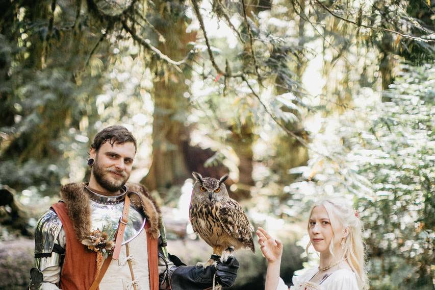 Owl with medieval