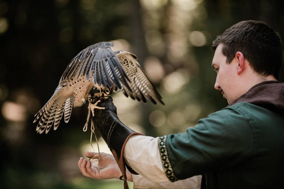 Falcon delivers wedding rings