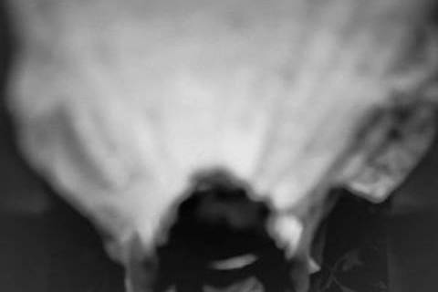 Carnessali Photography
