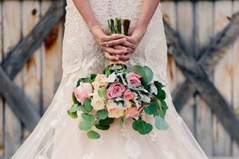 Carnessali Photography