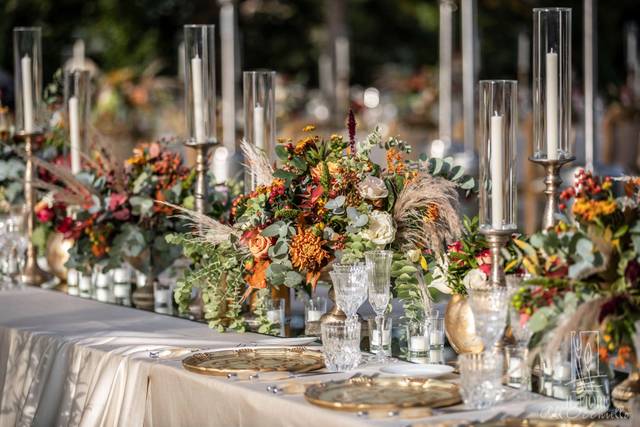 Distinctive Italy Weddings