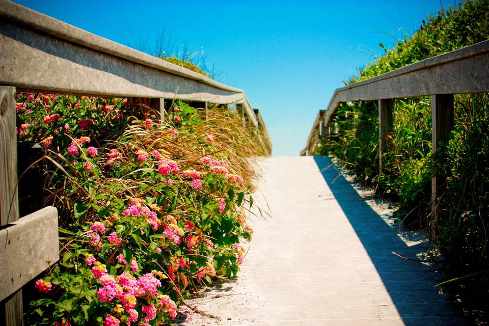 Beach Entrance