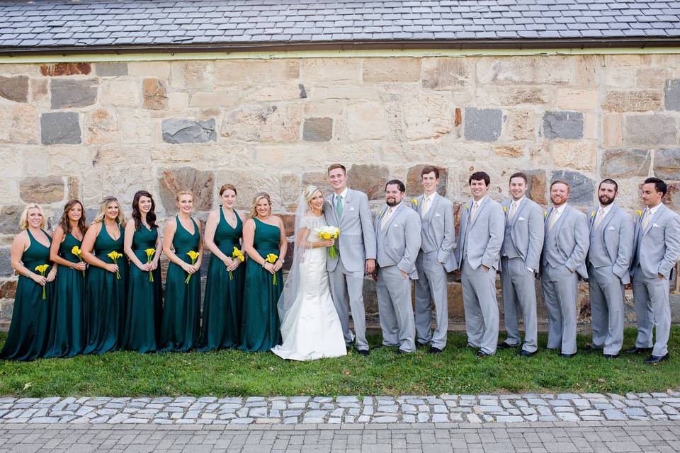 Newlyweds, bridesmaids, and groomsmen