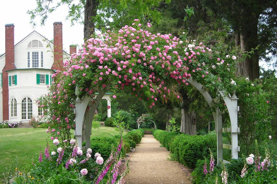 Floral arch