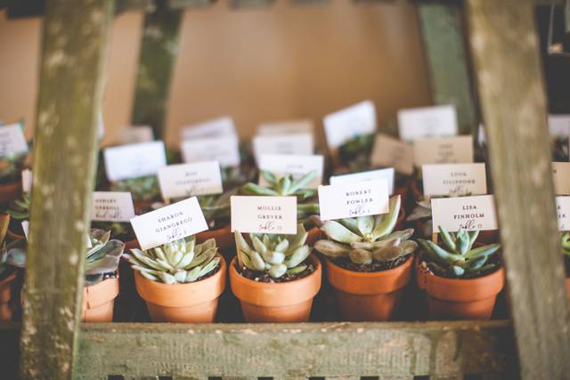 Plants