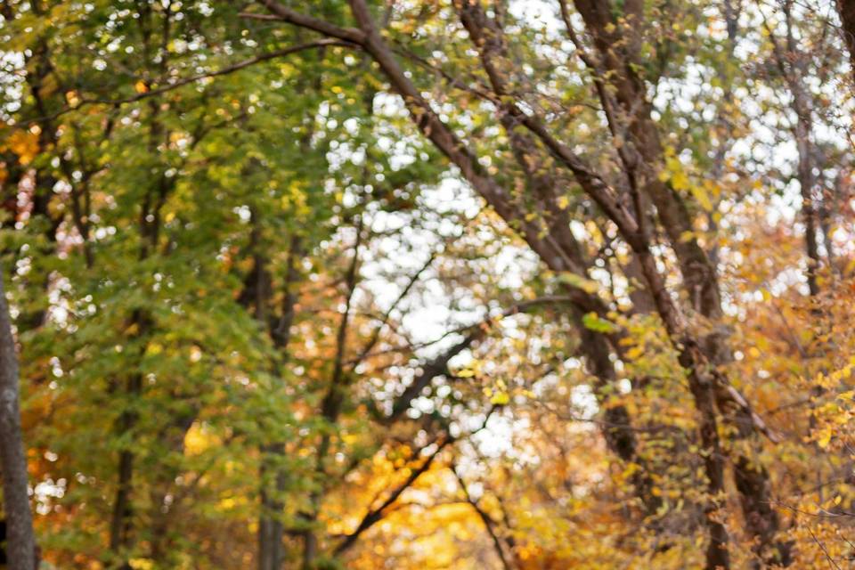 Blu Photography & Design | WI