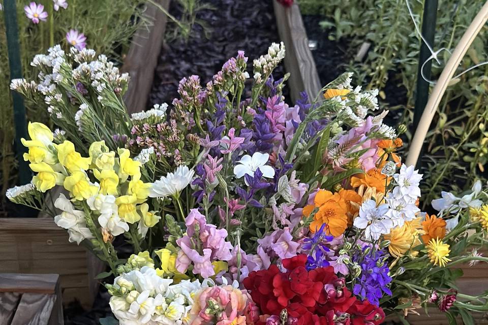 Three Sweet Peas